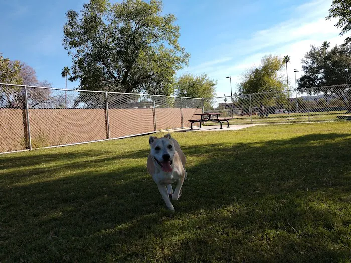 Clark Park Dog Park 5