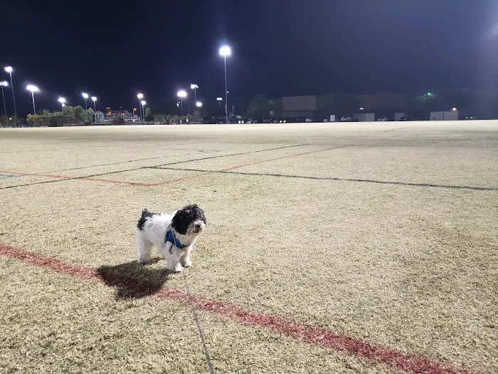 Dog Park at Crossroads 1