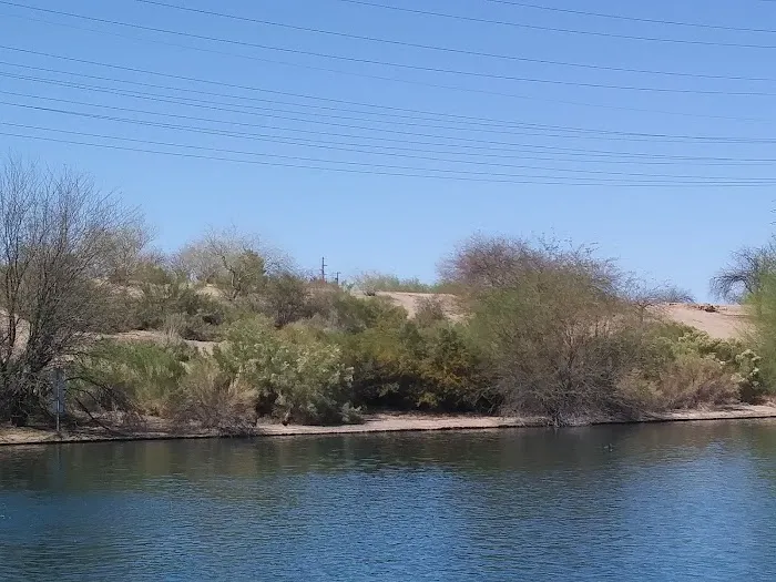 Dog Park at Crossroads 6
