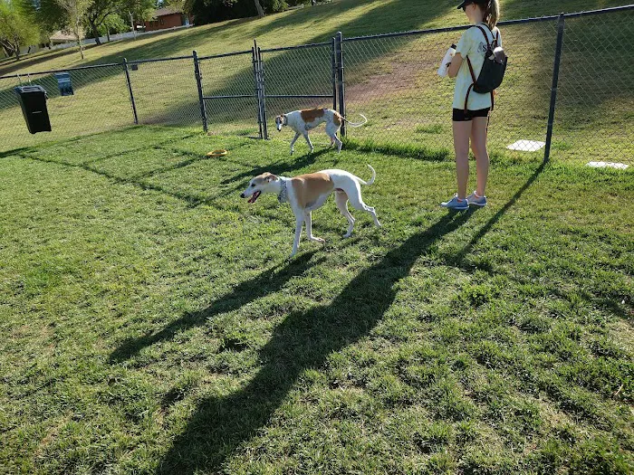 Cosmo Dog Park 9