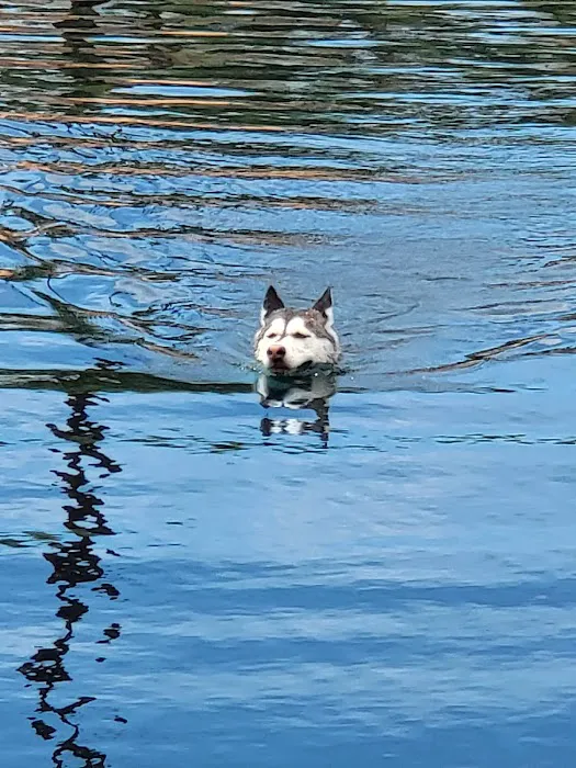 Cosmo Dog Park 2