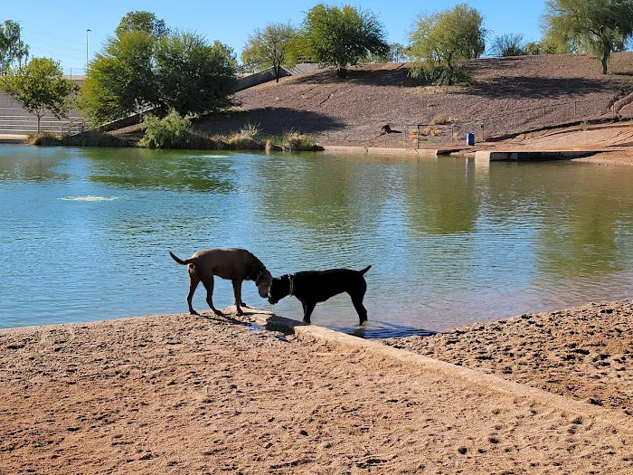 Cosmo Dog Park 8
