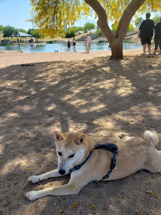 Cosmo Dog Park 7
