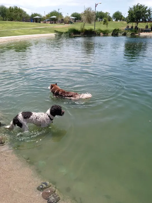 Cosmo Dog Park 1