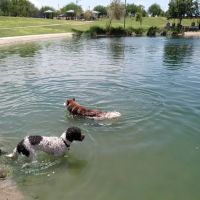 Cosmo Dog Park ico