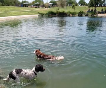 Cosmo Dog Park