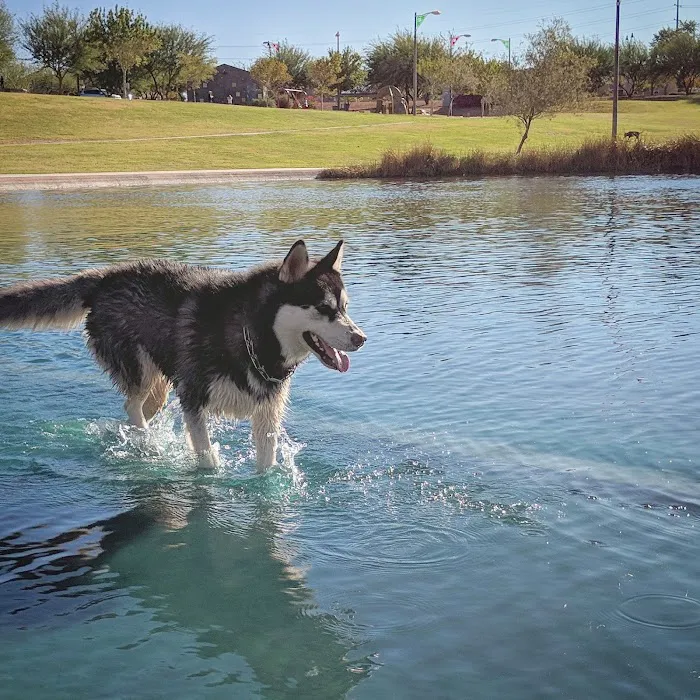 Cosmo Dog Park 10