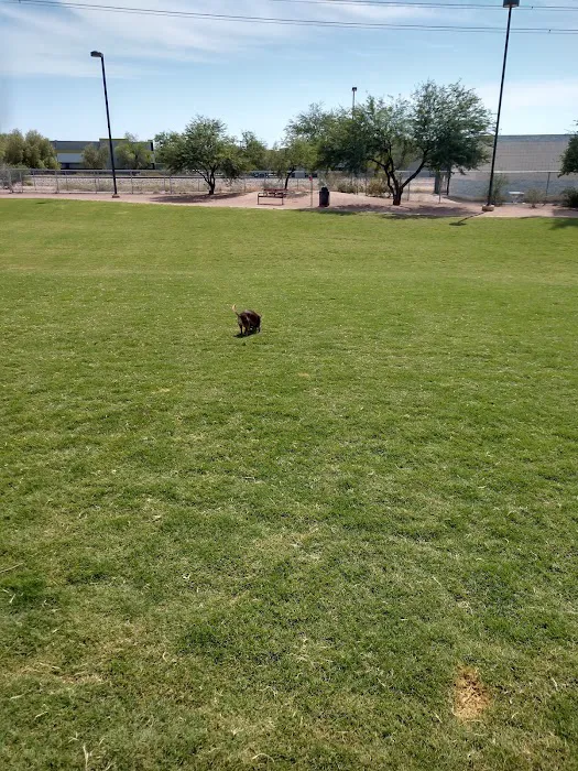 Tempe Sports Complex Dog Park 7