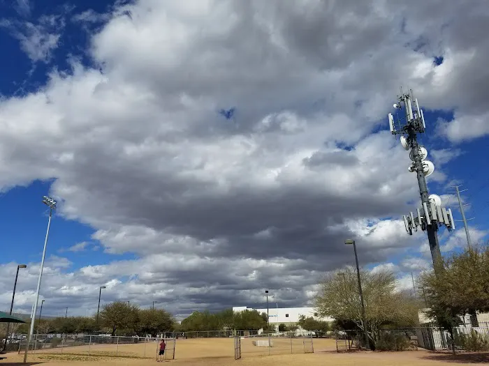 Tempe Sports Complex Dog Park 6