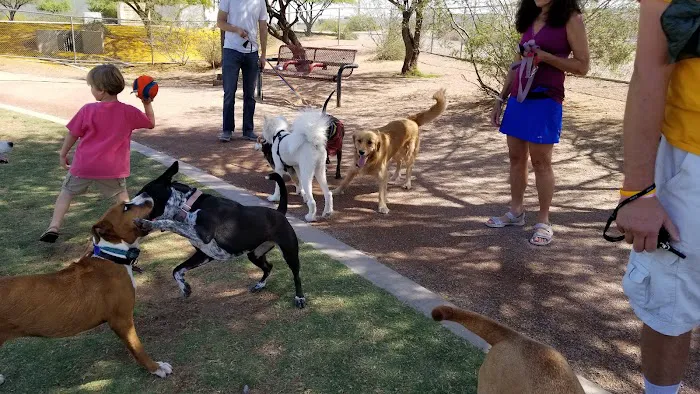 Tempe Sports Complex Dog Park 9