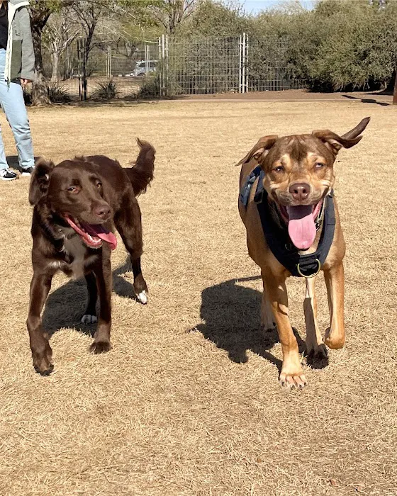 Chaparral Dog Park 6