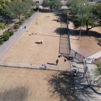 Nozomi Dog Park ico