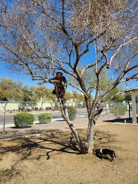 Nozomi Dog Park 6
