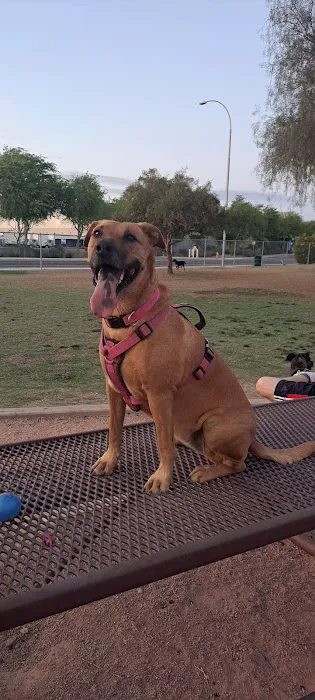 Nozomi Dog Park 8