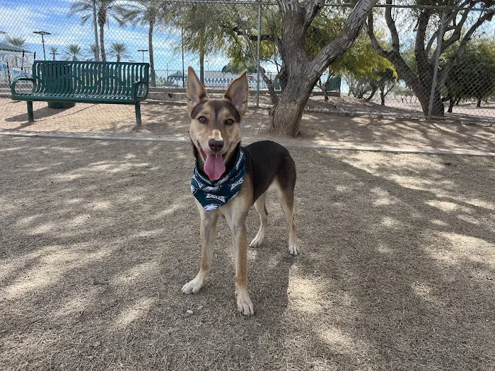 Nozomi Dog Park 9