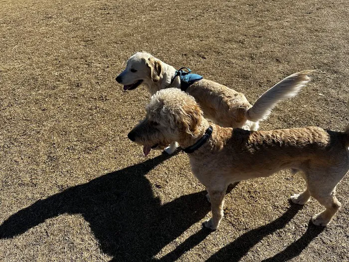 Paseo Vista Recreation Area Bark Park 8