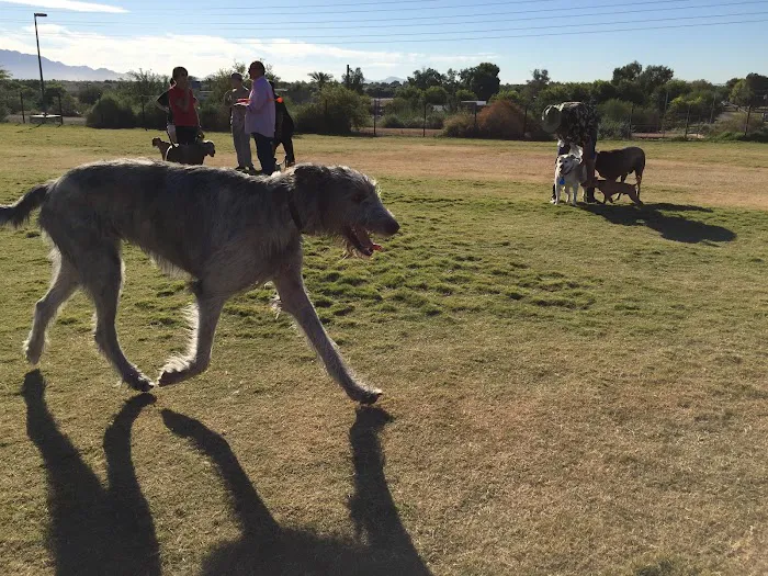 Paseo Vista Recreation Area Bark Park 2