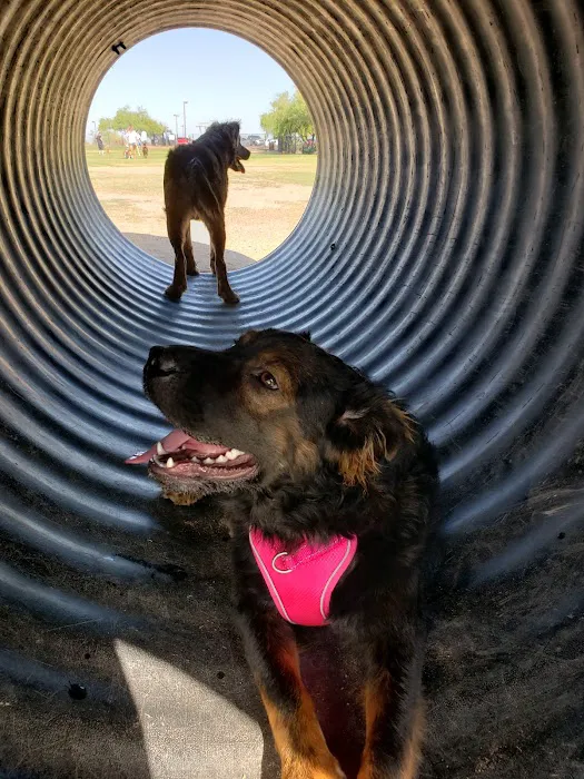 Paseo Vista Recreation Area Bark Park 1