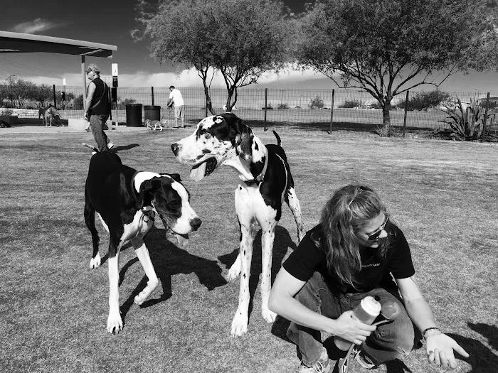 Paseo Vista Recreation Area Bark Park 7