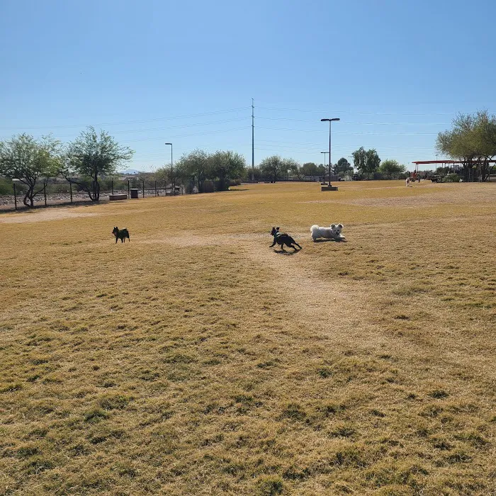 Paseo Vista Recreation Area Bark Park 10