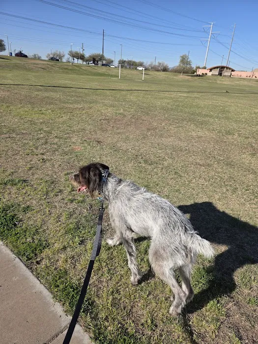 RJ Dog Park at Pecos Park 7