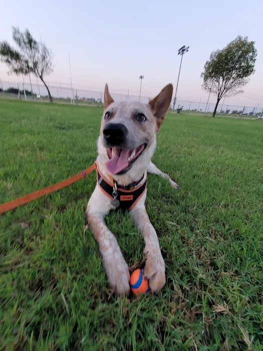 RJ Dog Park at Pecos Park 8