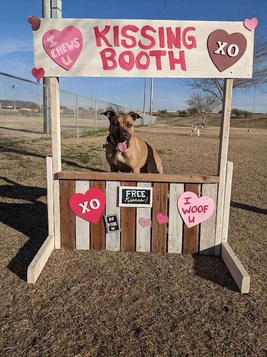 RJ Dog Park at Pecos Park 10