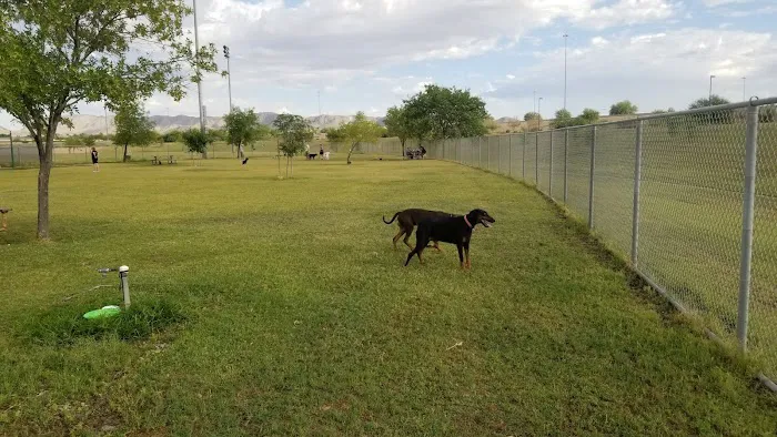 RJ Dog Park at Pecos Park 4