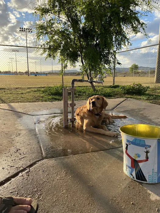 RJ Dog Park at Pecos Park 6