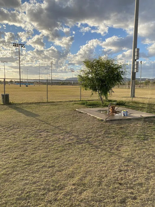 RJ Dog Park at Pecos Park 5