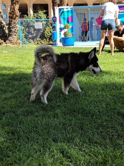 Thelda Williams Paw-Pup Park 6