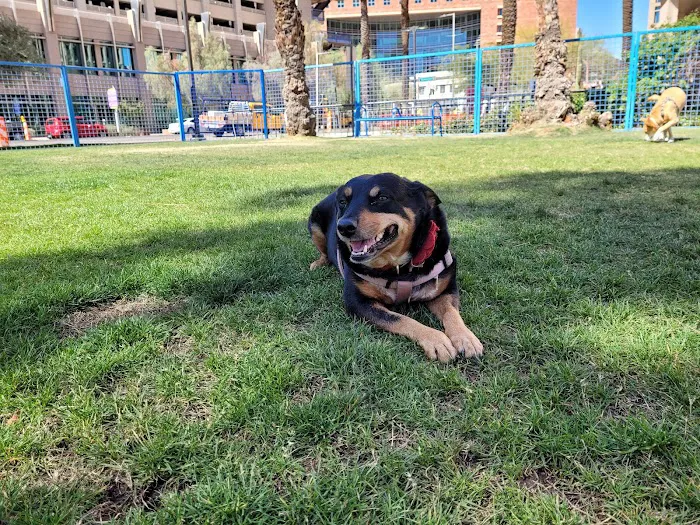 Thelda Williams Paw-Pup Park 7