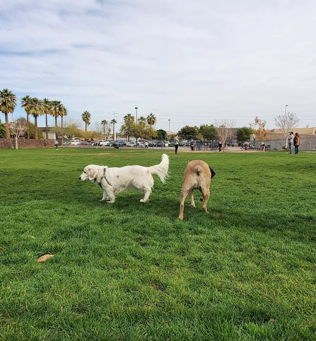 Hance Park Dog Park 6