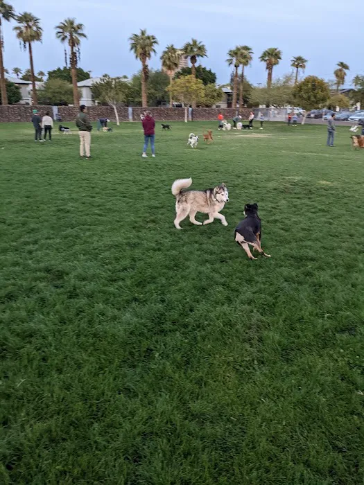 Hance Park Dog Park 3