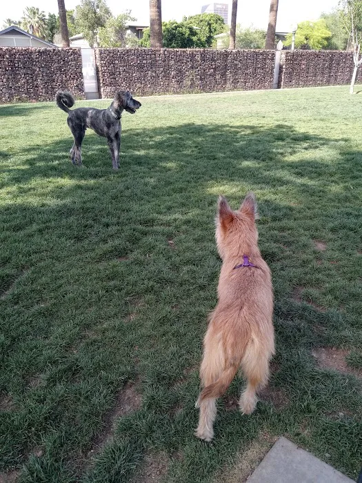 Hance Park Dog Park 1