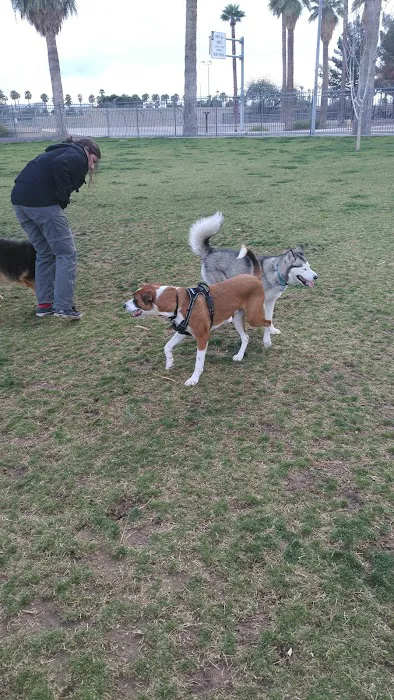 Hance Park Dog Park 4