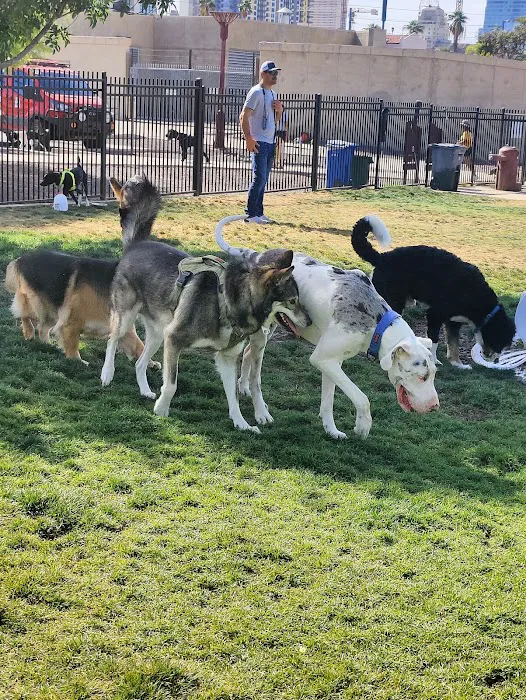 Hance Park Dog Park 10