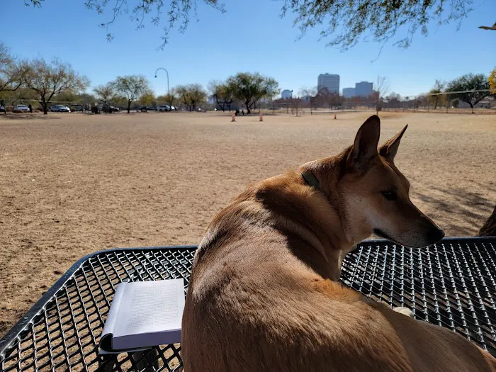 Steele Indian School Park Dog Park 8
