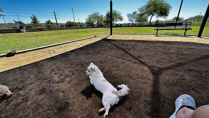 Desert Vista Dog Park 7