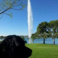 Desert Vista Dog Park ico