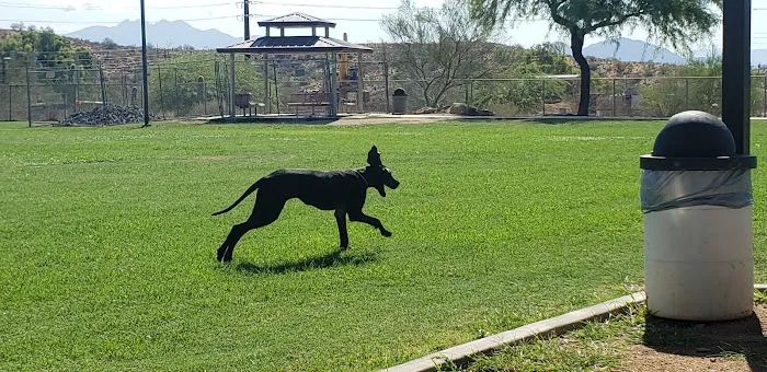 Desert Vista Dog Park 5