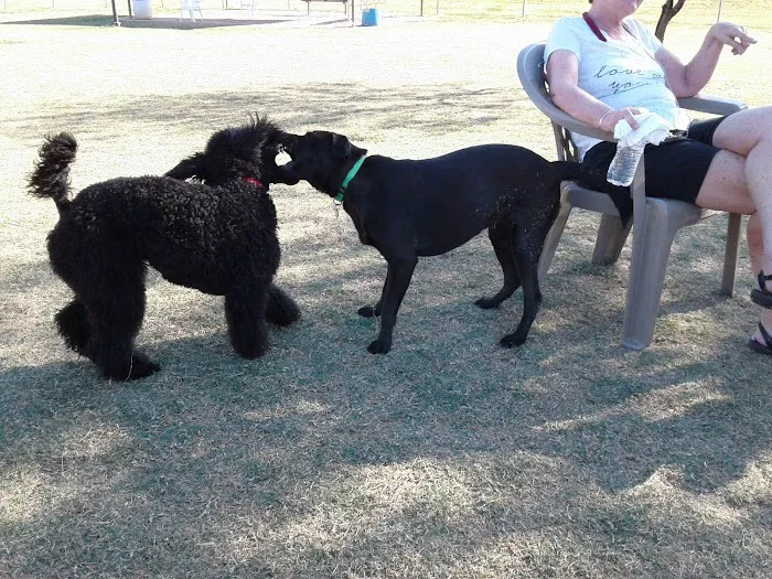 Desert Vista Dog Park 4