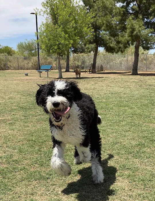 Desert Vista Dog Park 2
