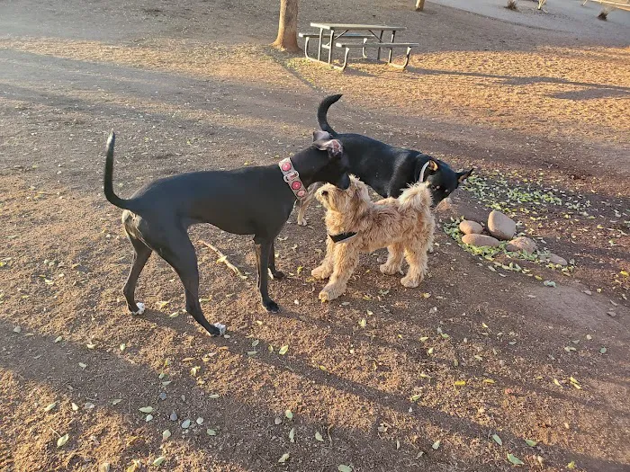 Horizon Dog Park 10