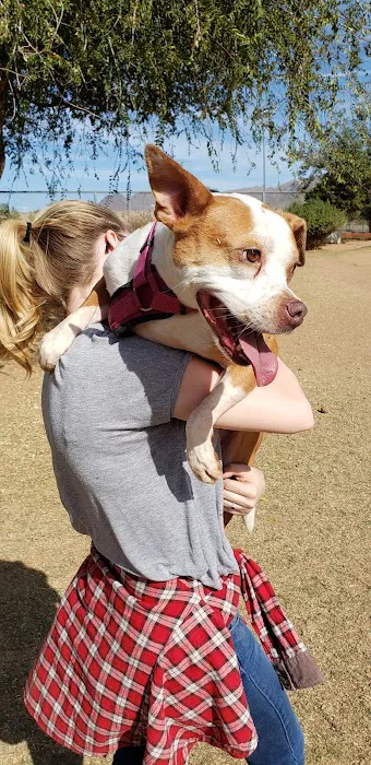 Horizon Dog Park 8