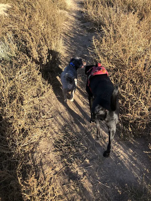 Horizon Dog Park 5