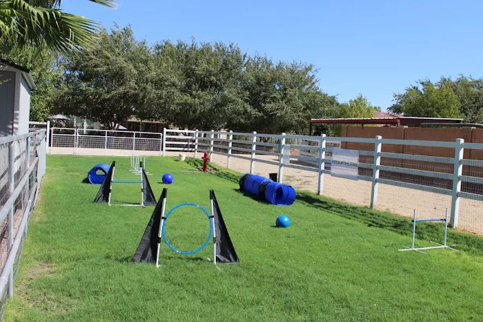 Fetch at The Stall Private Dog Park 6