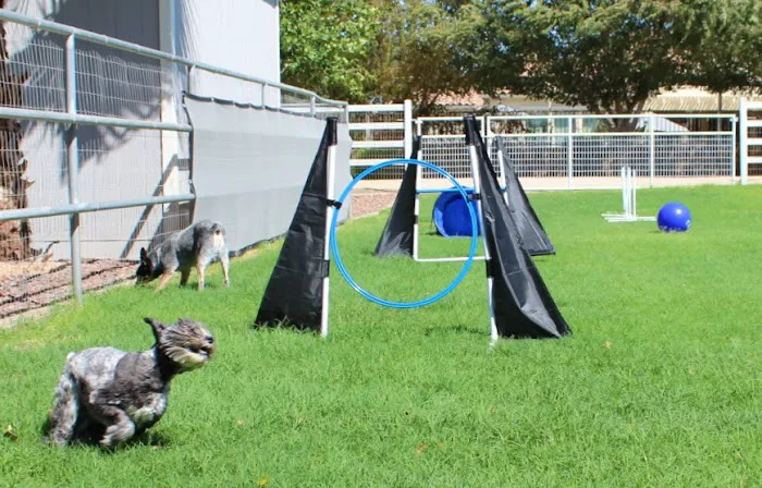Fetch at The Stall Private Dog Park 9