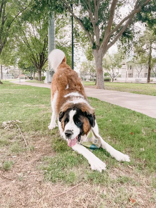 Pocket Park for Pups 4