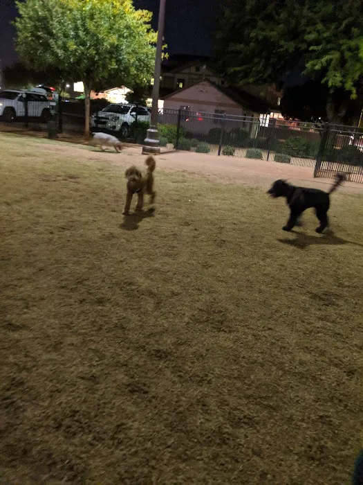 Pocket Park for Pups 10